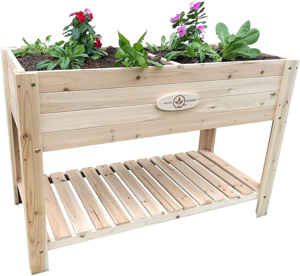 Boldly Growing Bed