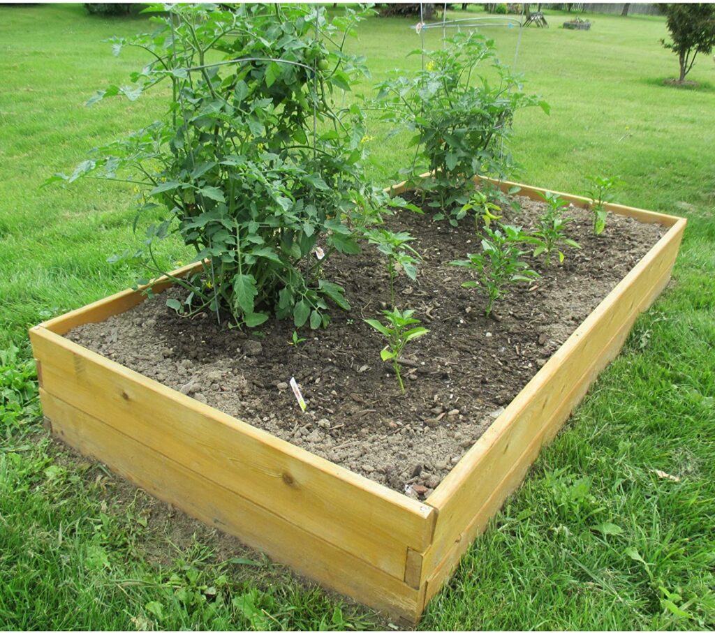 Infinite Cedar Bed