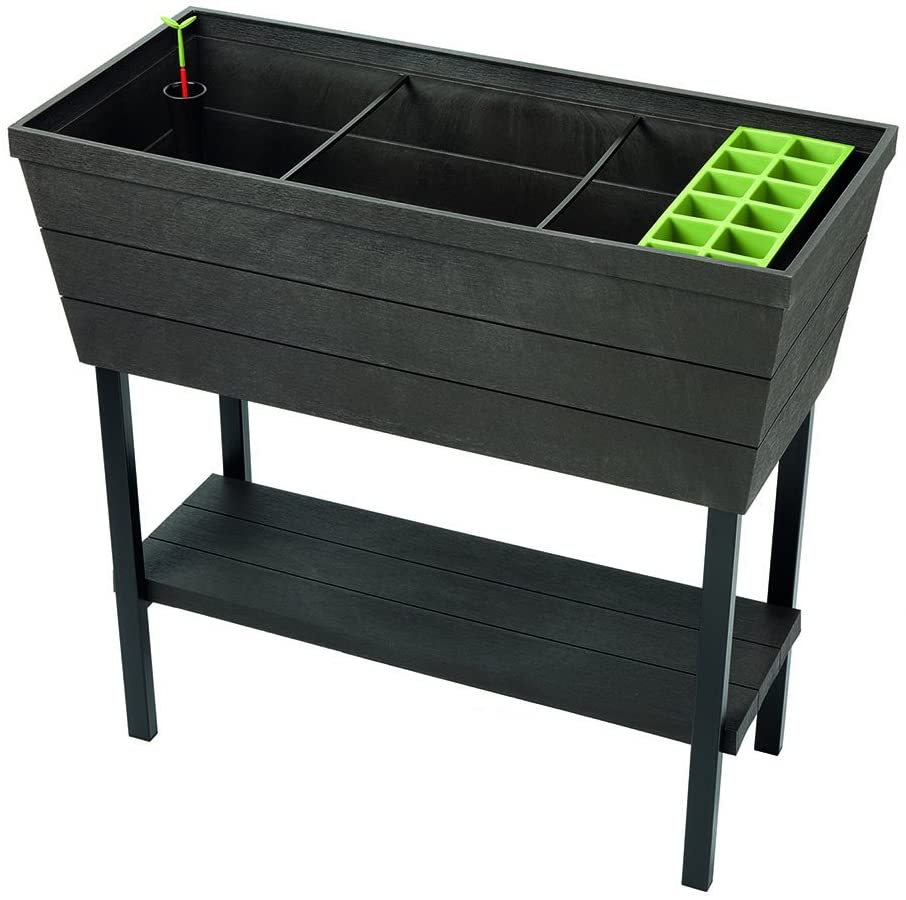 Keter Urban Bloomer